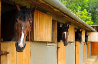 free Blackborough End stable construction quotes